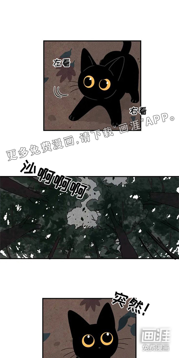 金福的故事第21话图