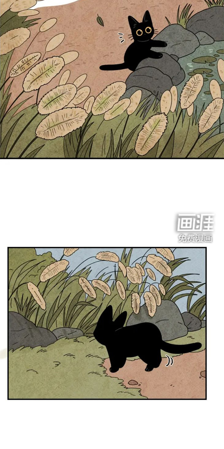 金福的故事第38话图