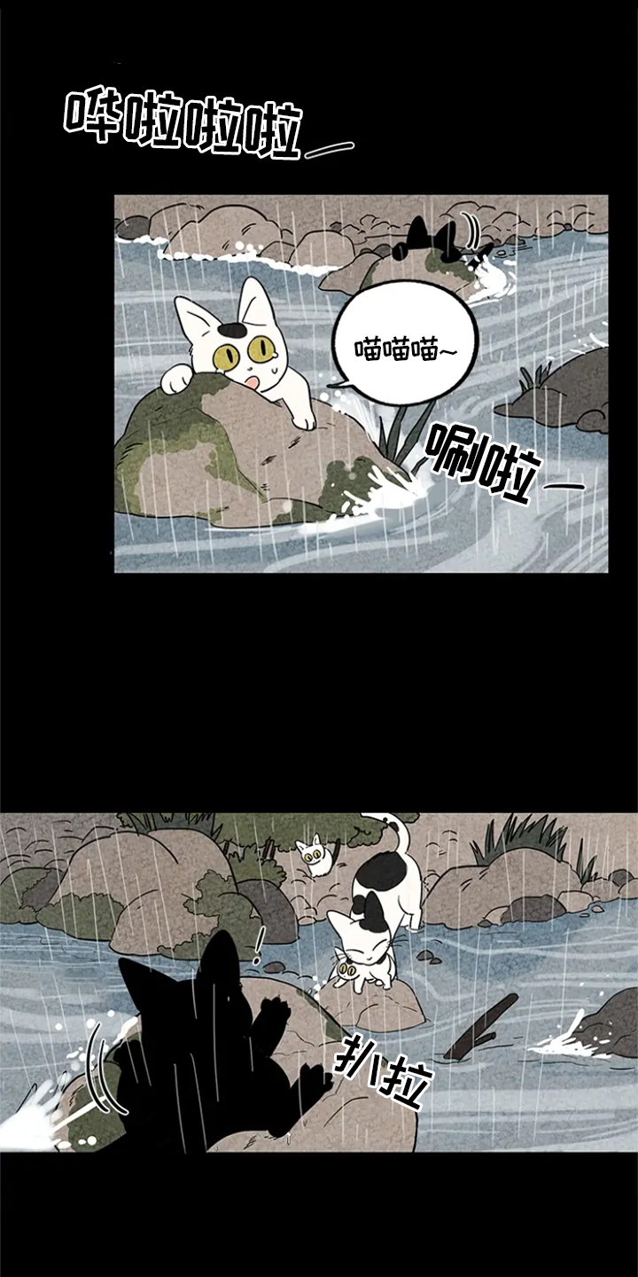 金福的故事第4话图