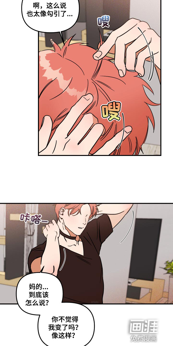 绝对理想型第11话图