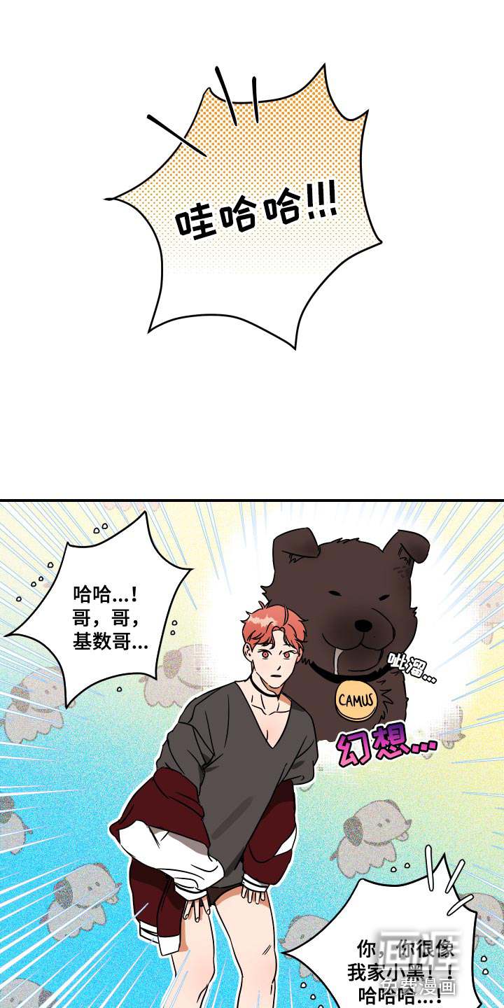 绝对理想型第12话图