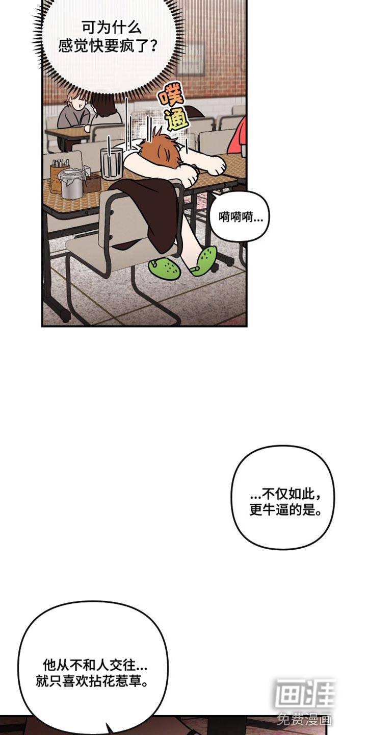 绝对理想型第13话图