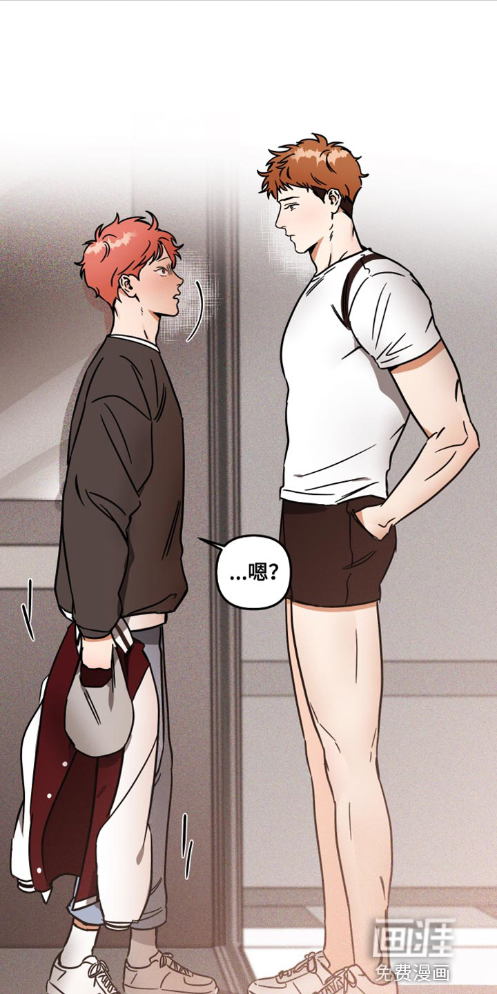 绝对理想型第28话图