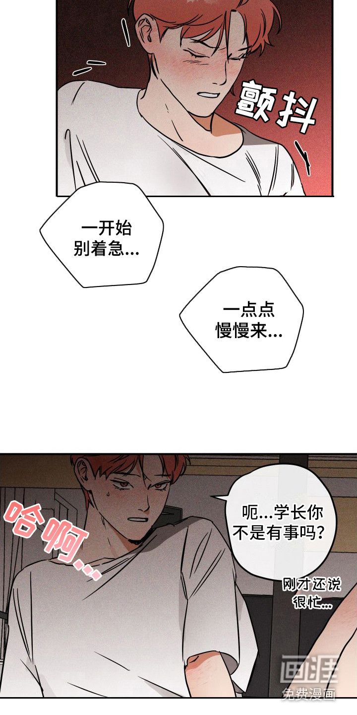 绝对理想型第9话图