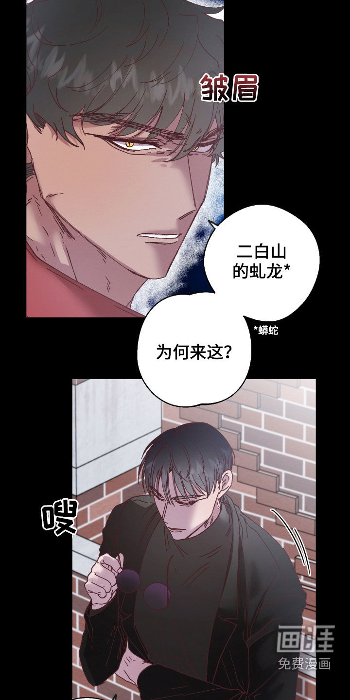 金虎刹邪漫画-图19