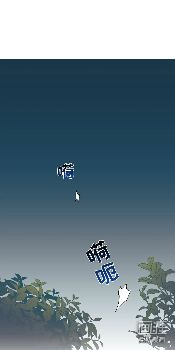 教主宠妃第1话图