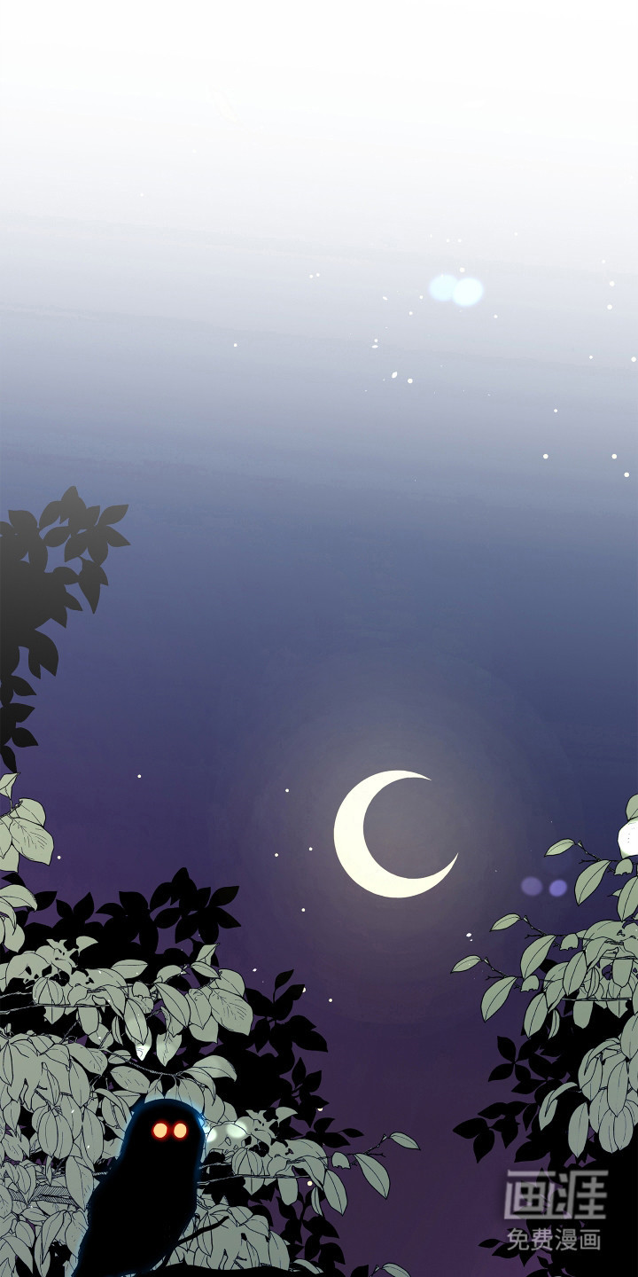 饥饿的狐狸第11话图