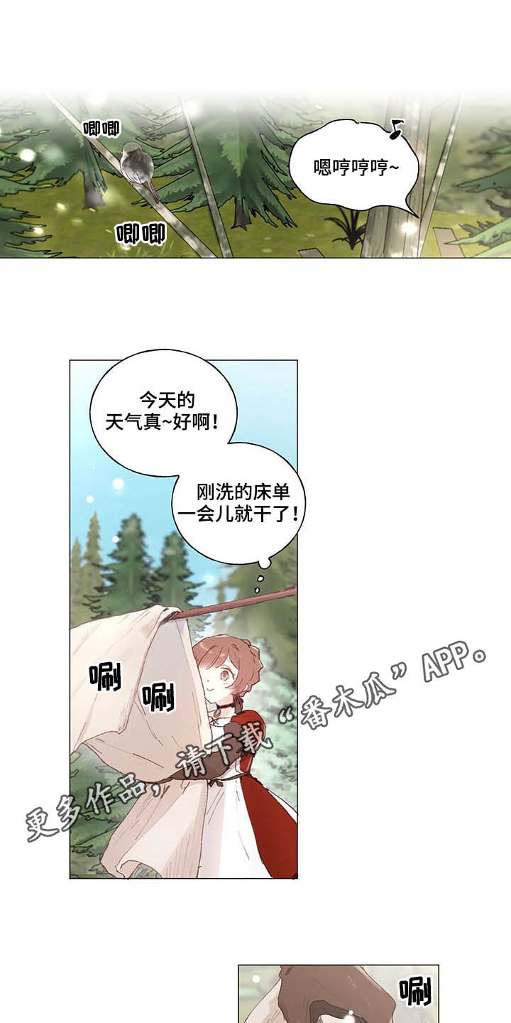 结婚人选第29话图