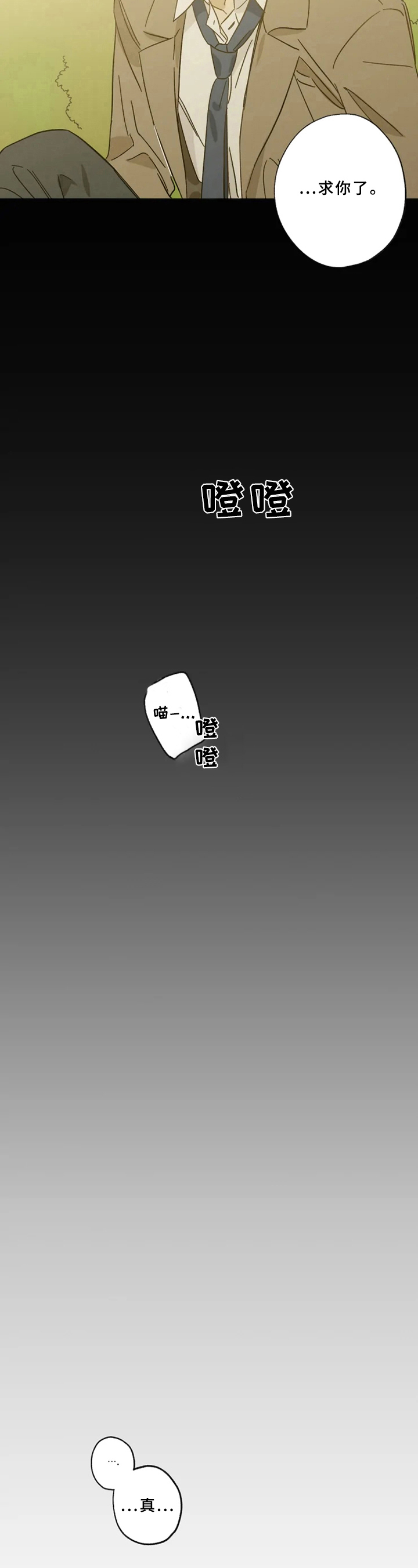 焦点视线第44话图