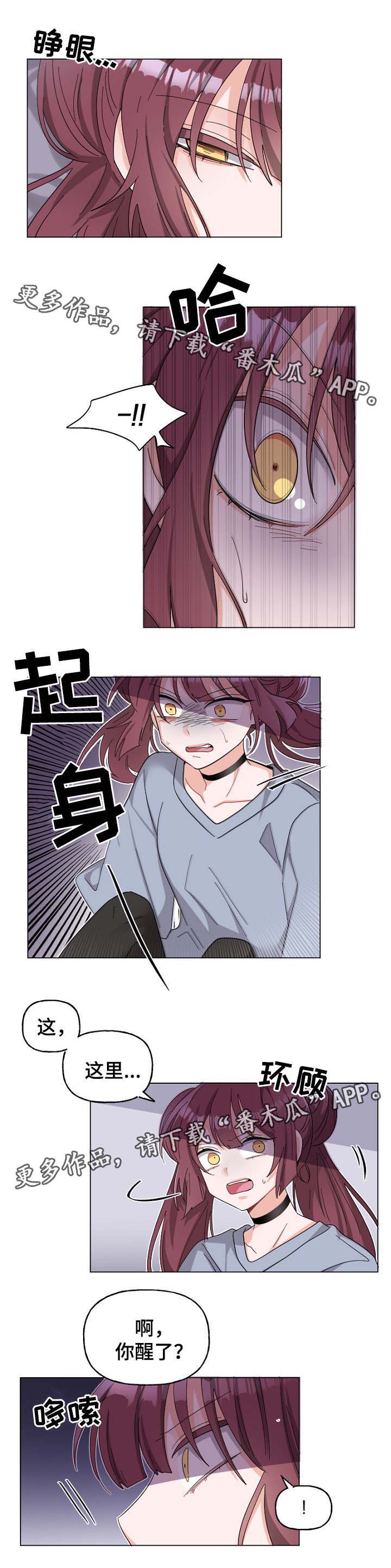 机器人伴侣第41话图