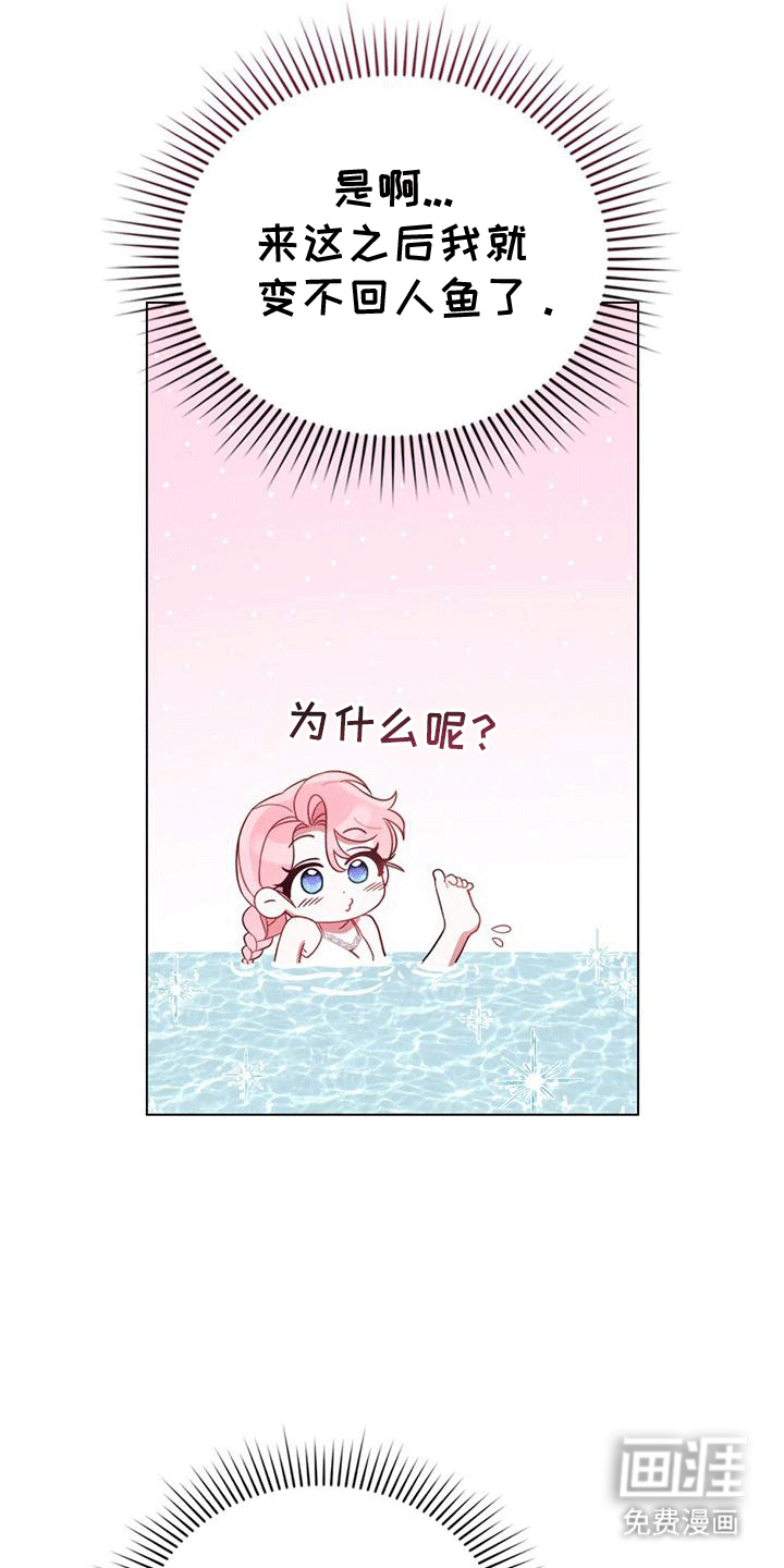 救赎我吧美人鱼第10话图