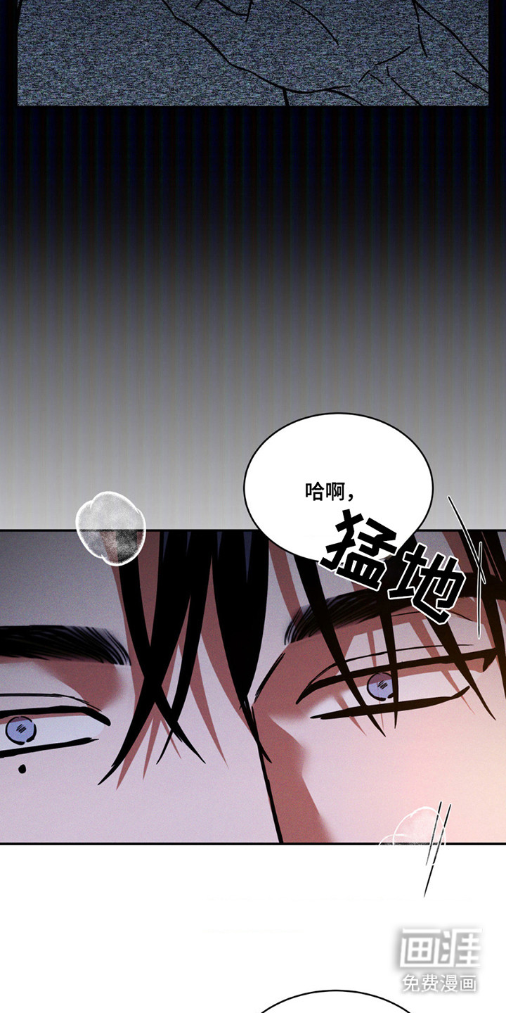 聚光灯下的安眠曲 第14话 第2页