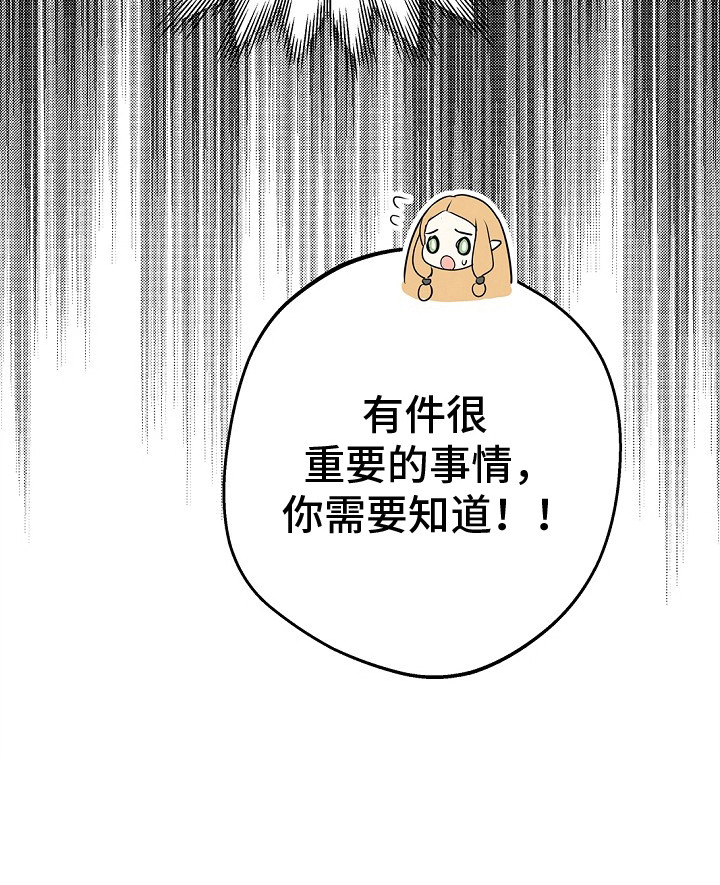 精灵冒险家第10话图