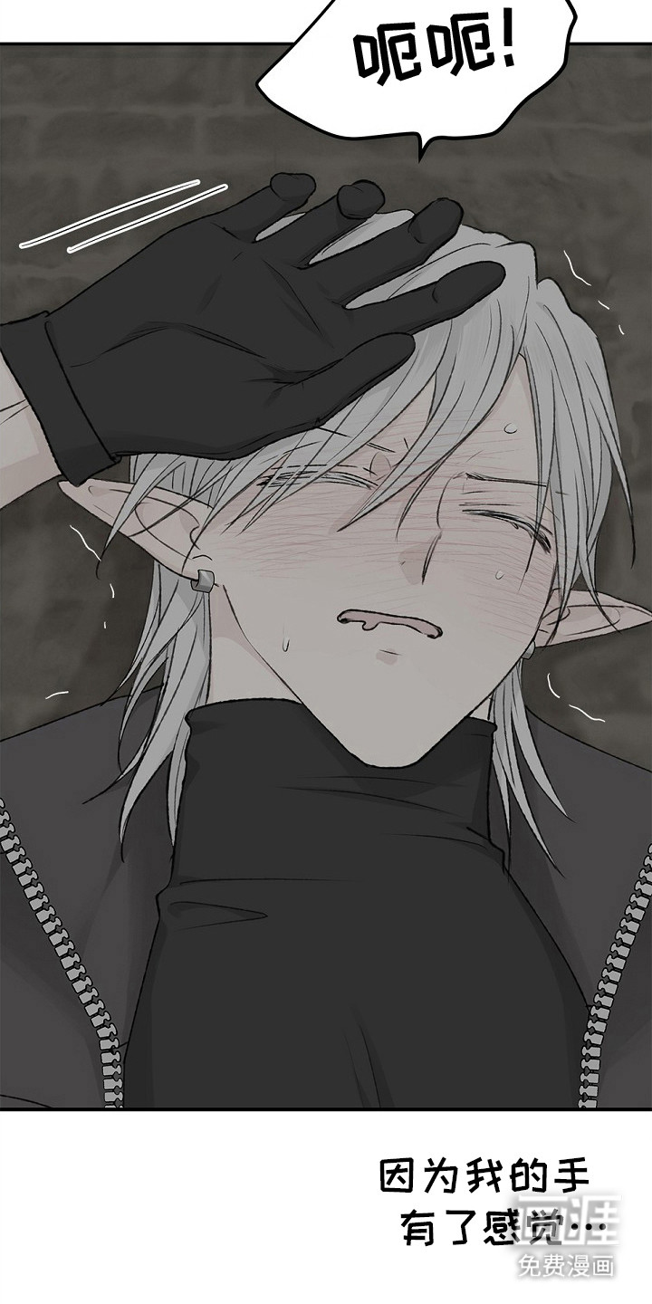 精灵冒险家第12话图