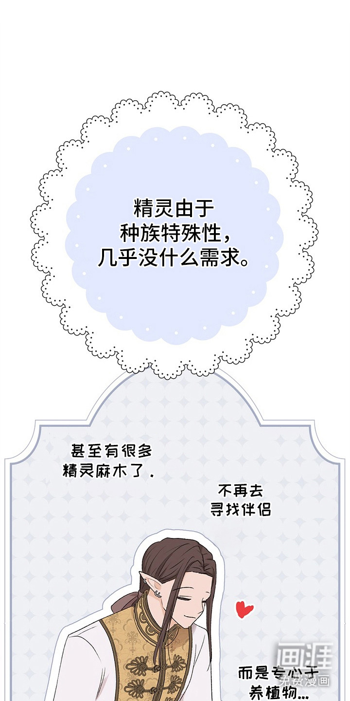 精灵冒险家第13话图