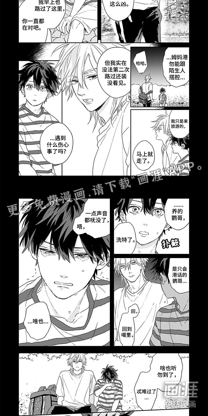 将你视如珍宝第3话图