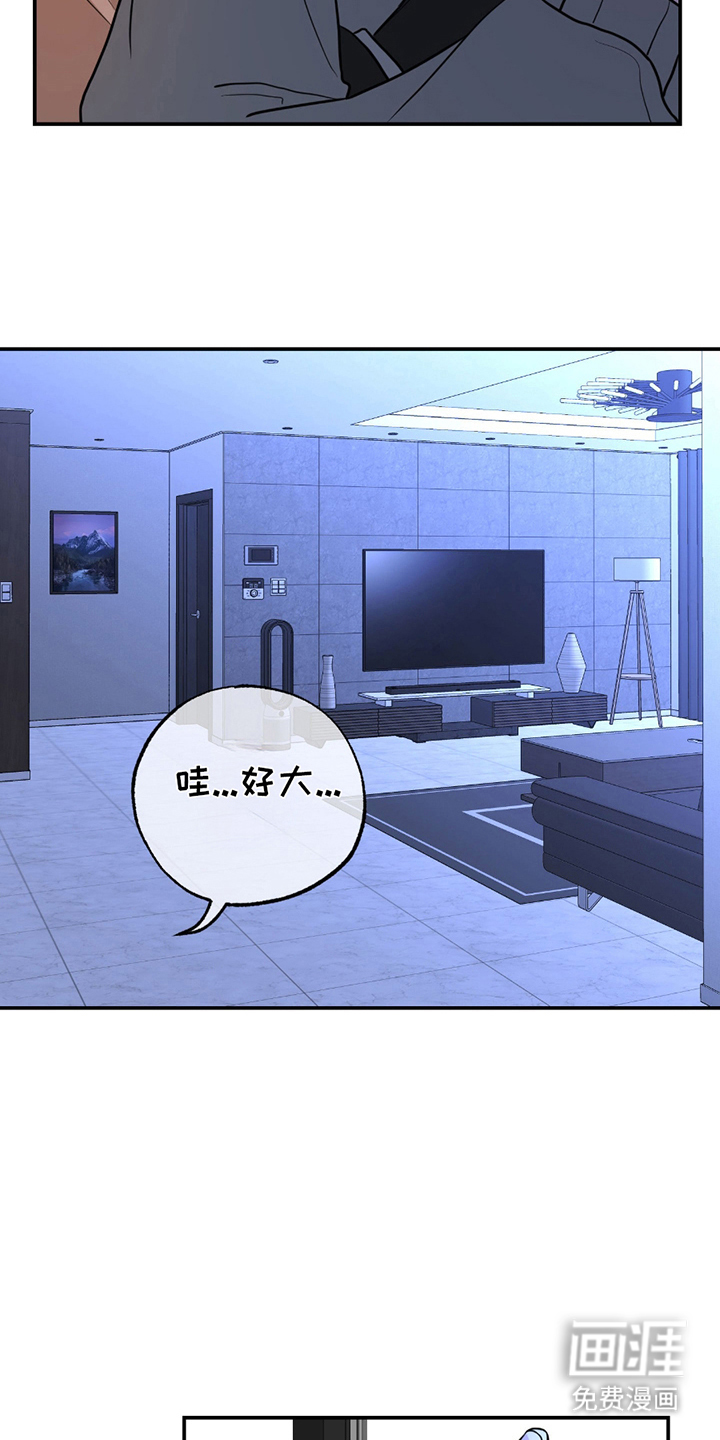 茄子爱上猫第3话图