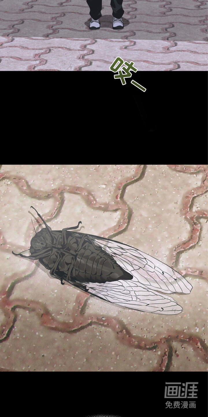 绝命扣押第17话图