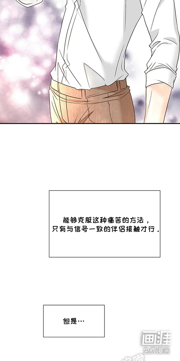 剧毒纽带第11话图