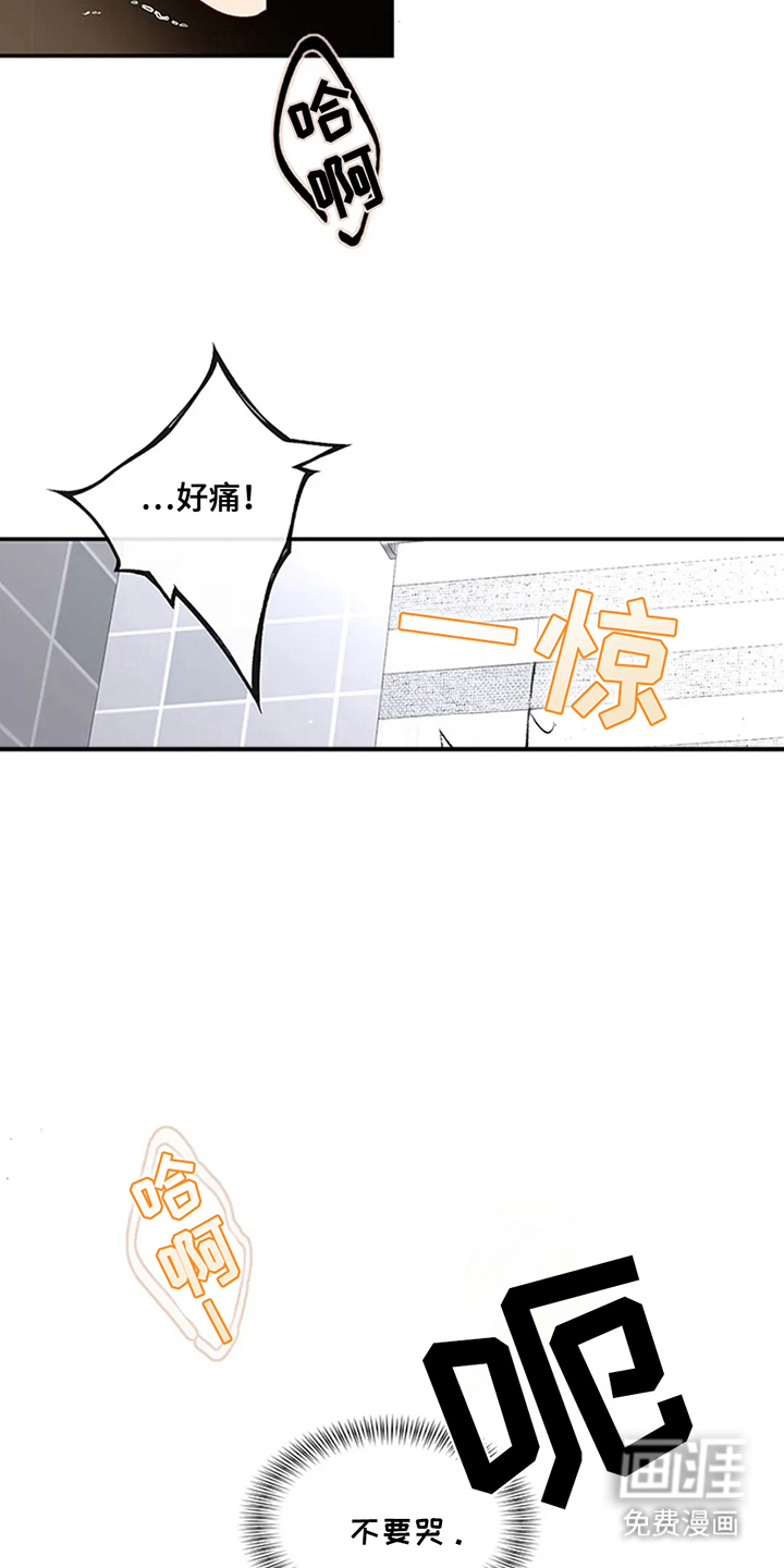 剧毒纽带第13话图