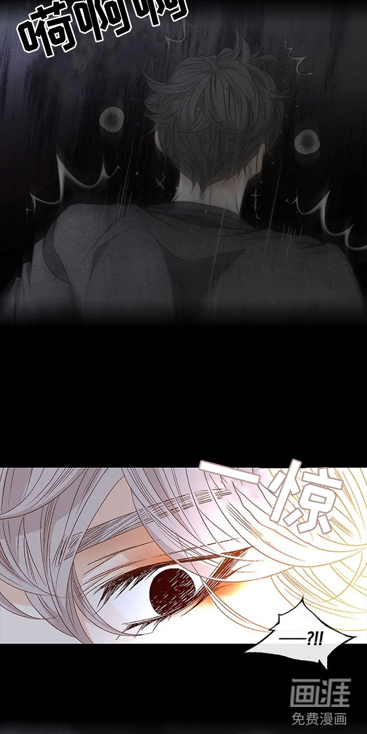 剧毒纽带第18话图