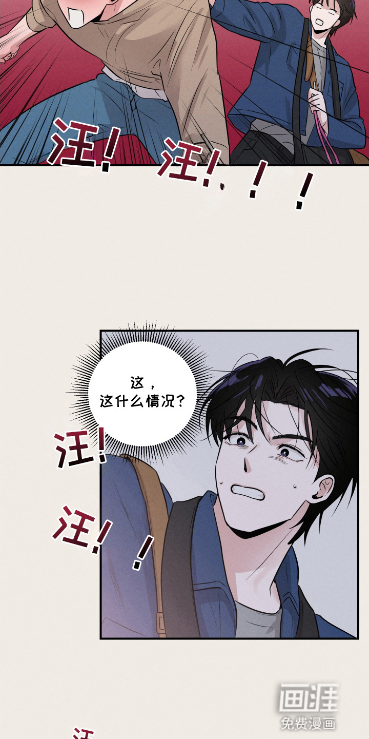 阶梯结缘第15话图