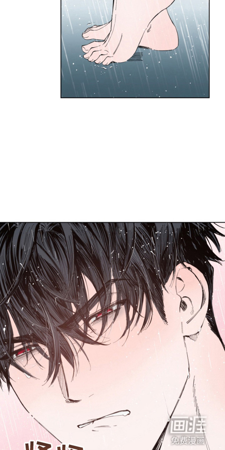 今天的幸运先生第4话图