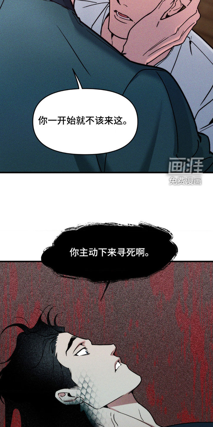 祭品丈夫第12话图