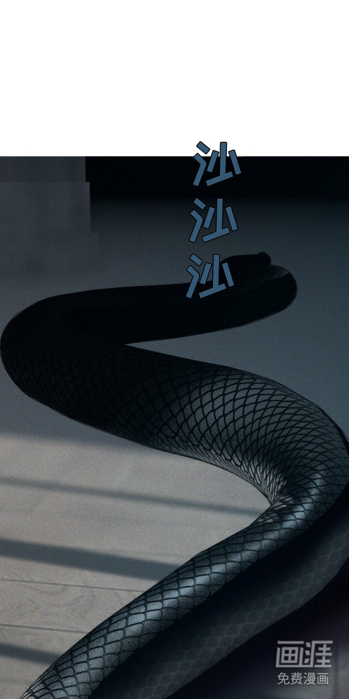 祭品丈夫第3话图