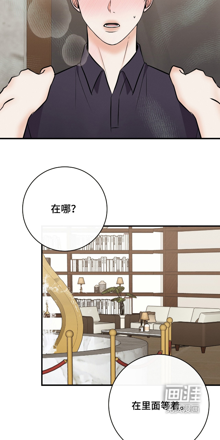 金主请签收第27话图