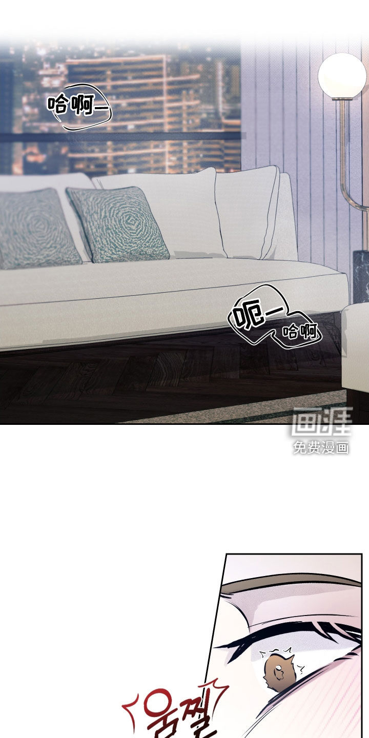 禁区内的谎言第20话图