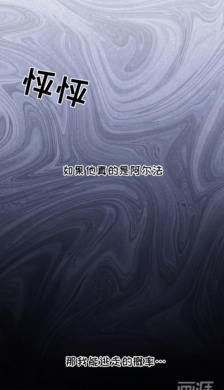 VVIP禁区第10话图