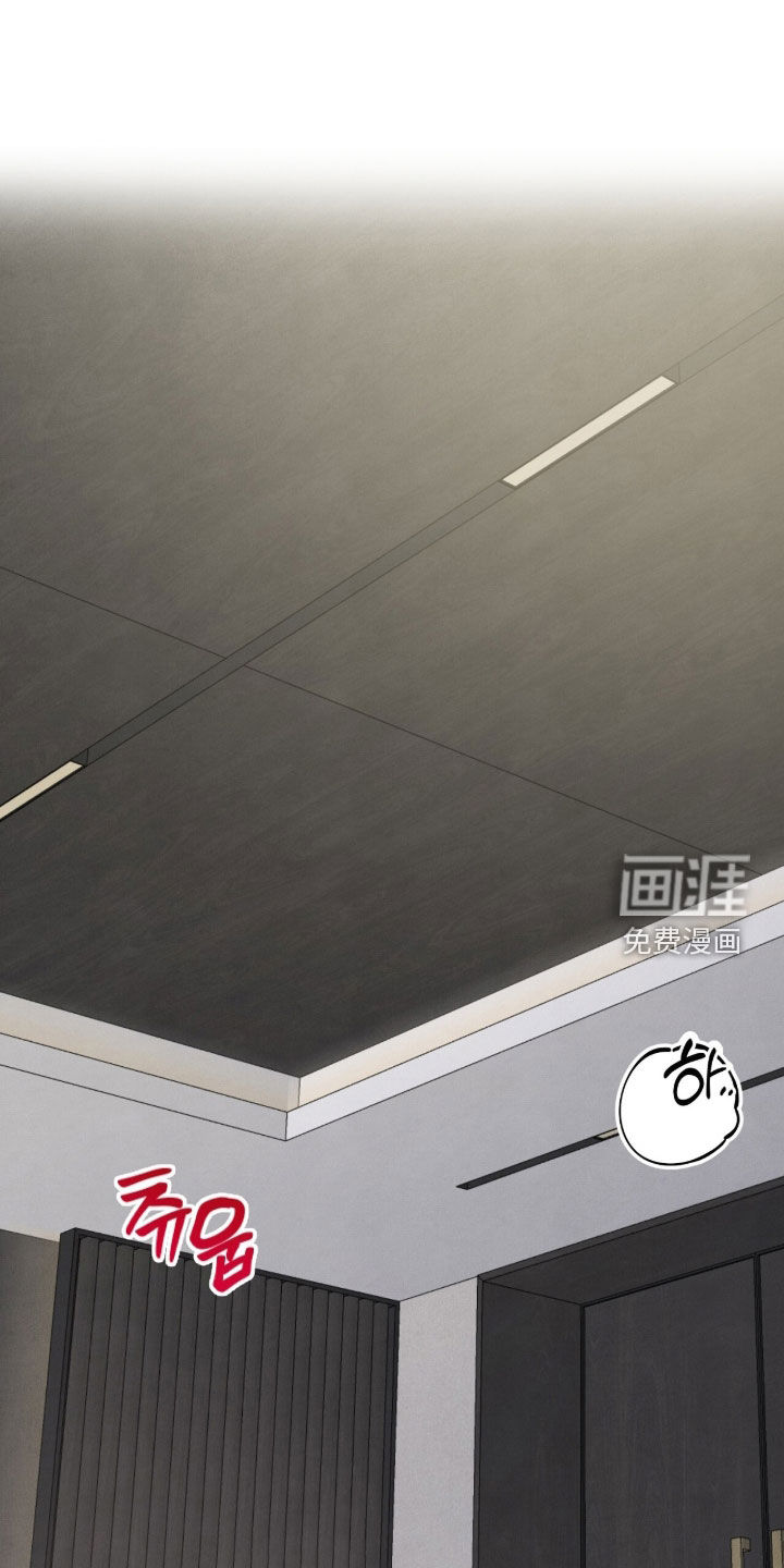 VVIP禁区第32话图