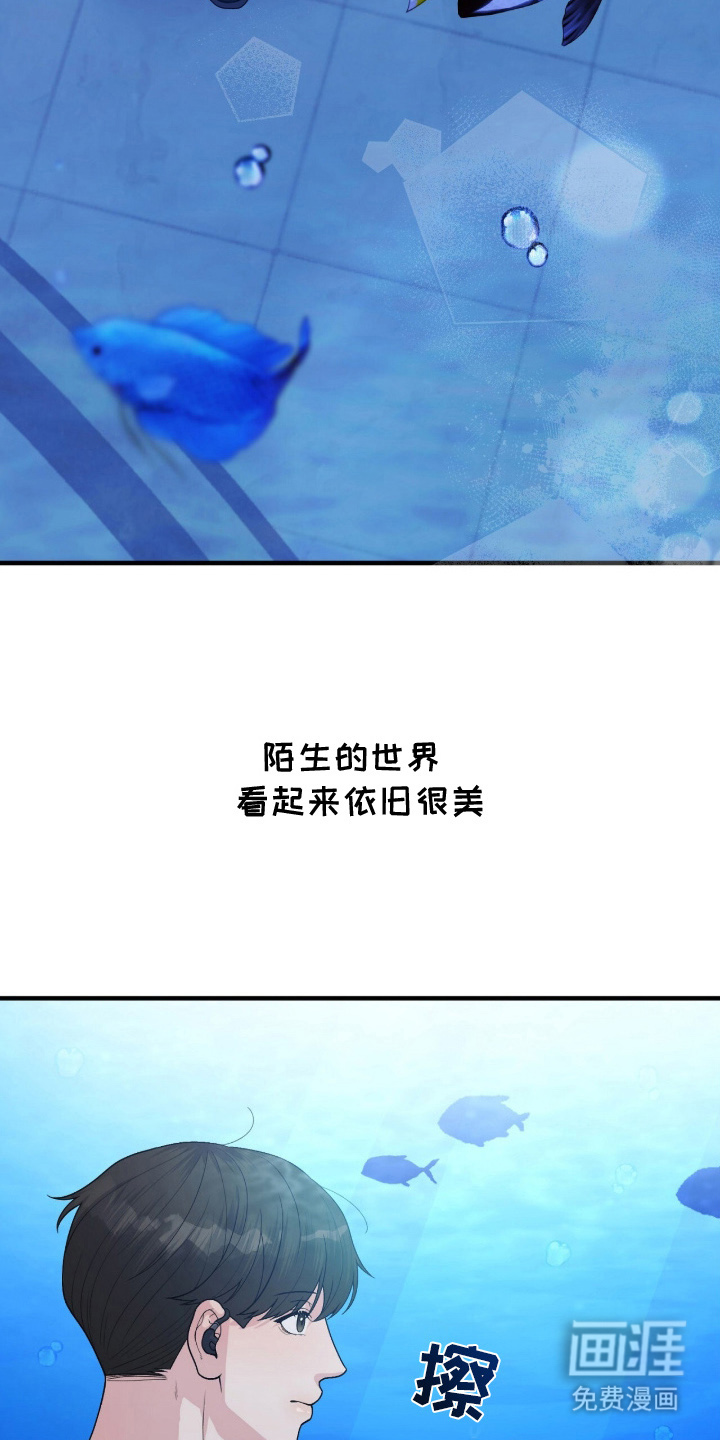 VVIP禁区第4话图