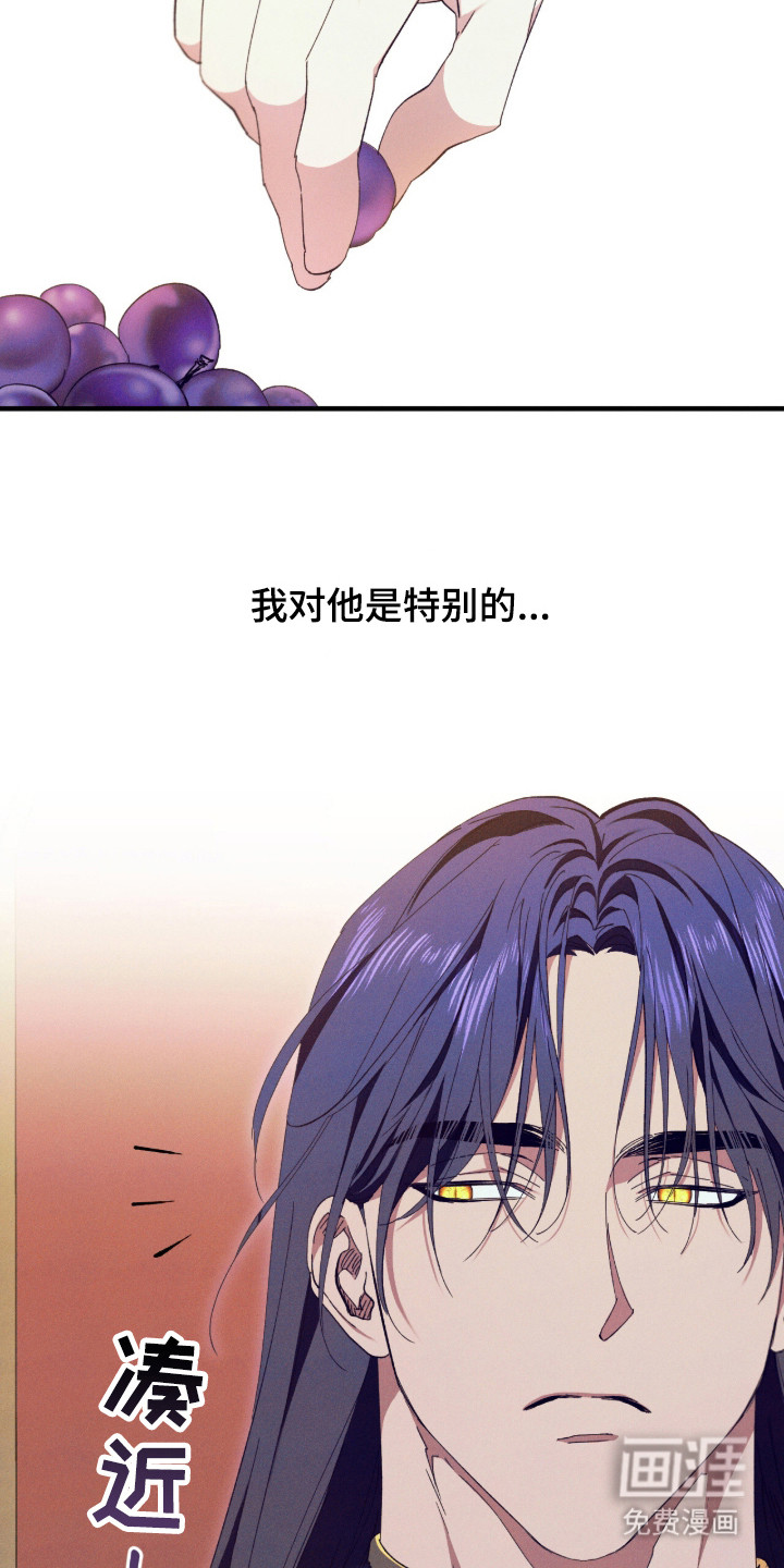 金砂迷瞳漫画-图29