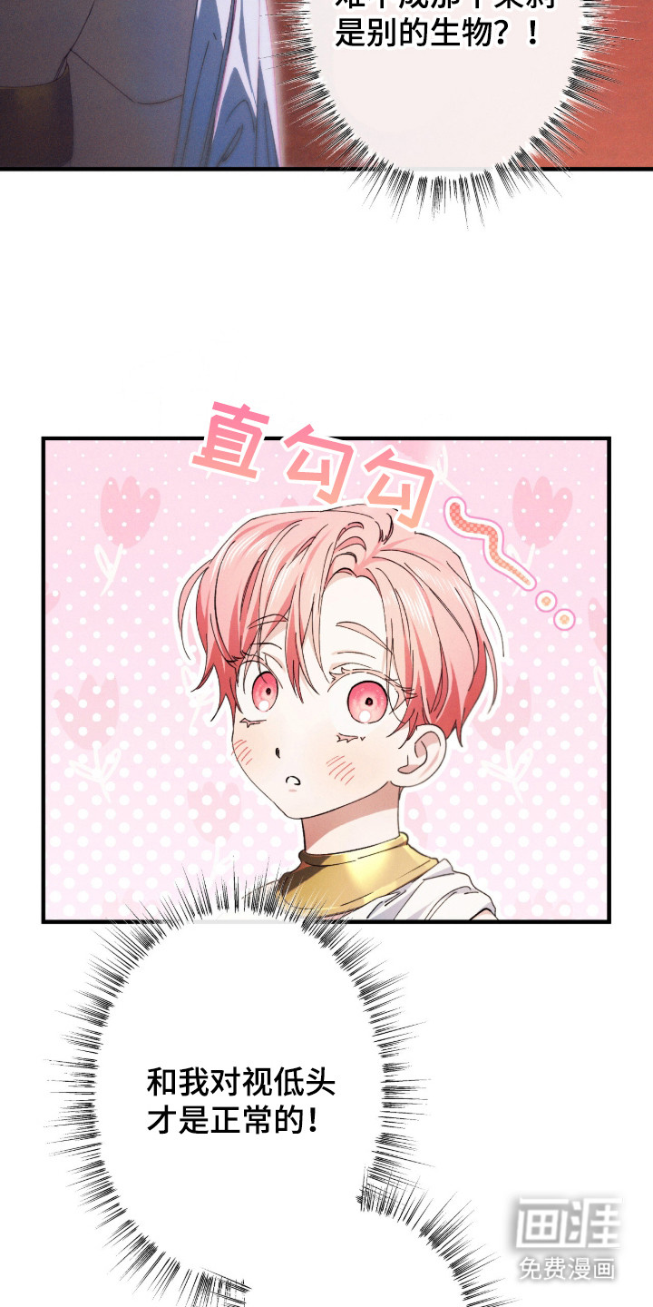 金砂迷瞳漫画-图24