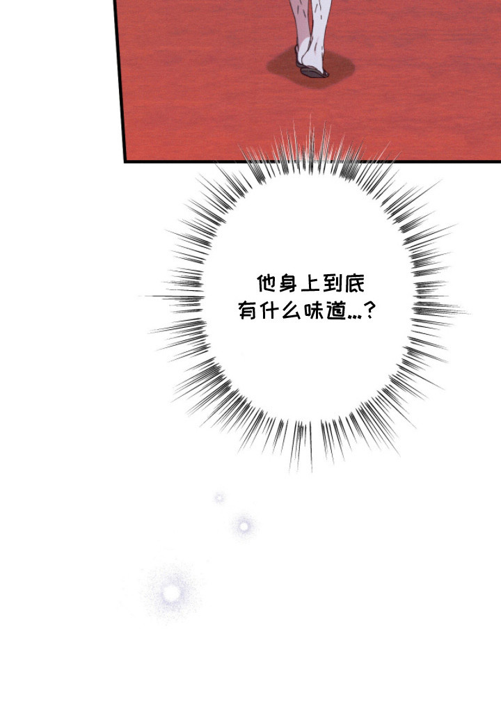 金砂迷瞳漫画-图24