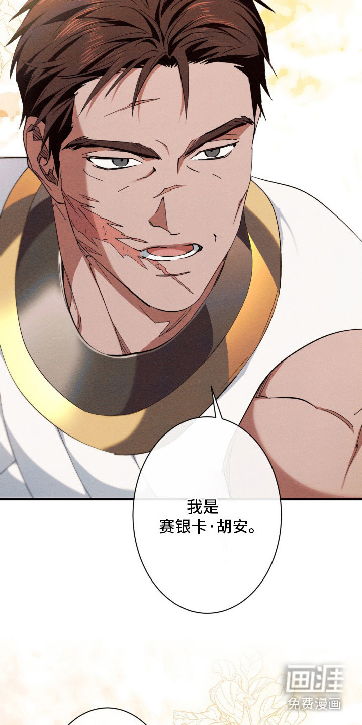 金砂迷瞳漫画-图23