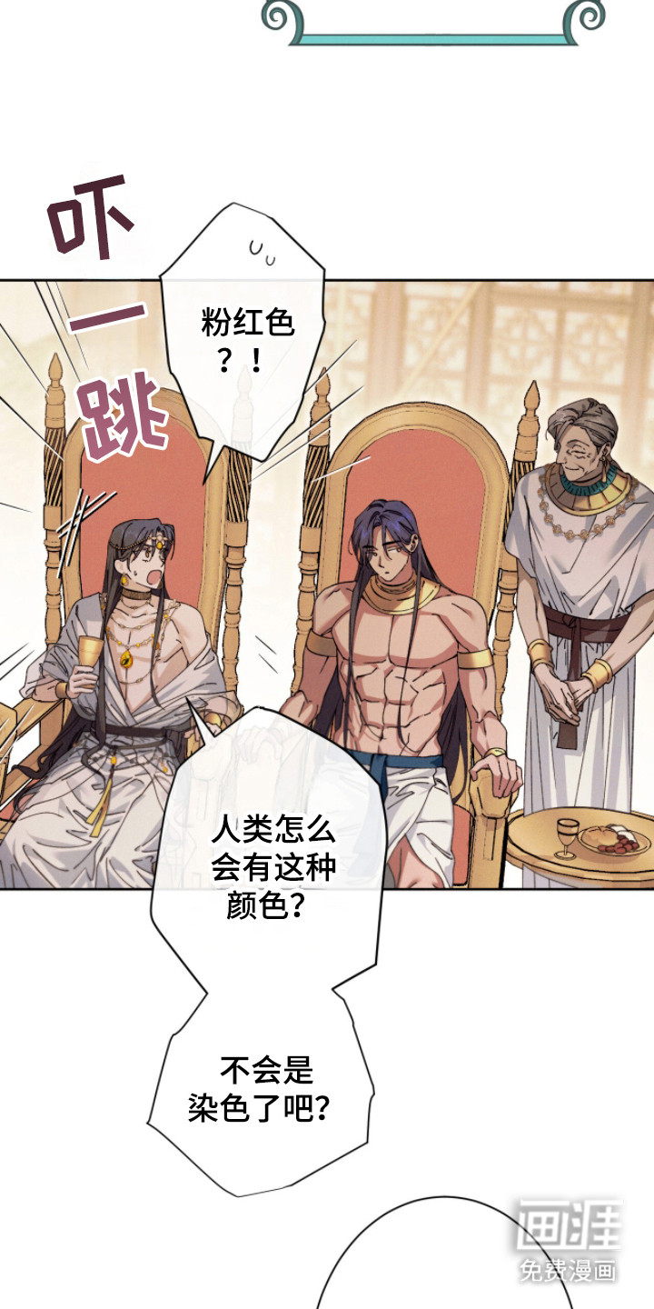 金砂迷瞳漫画-图7