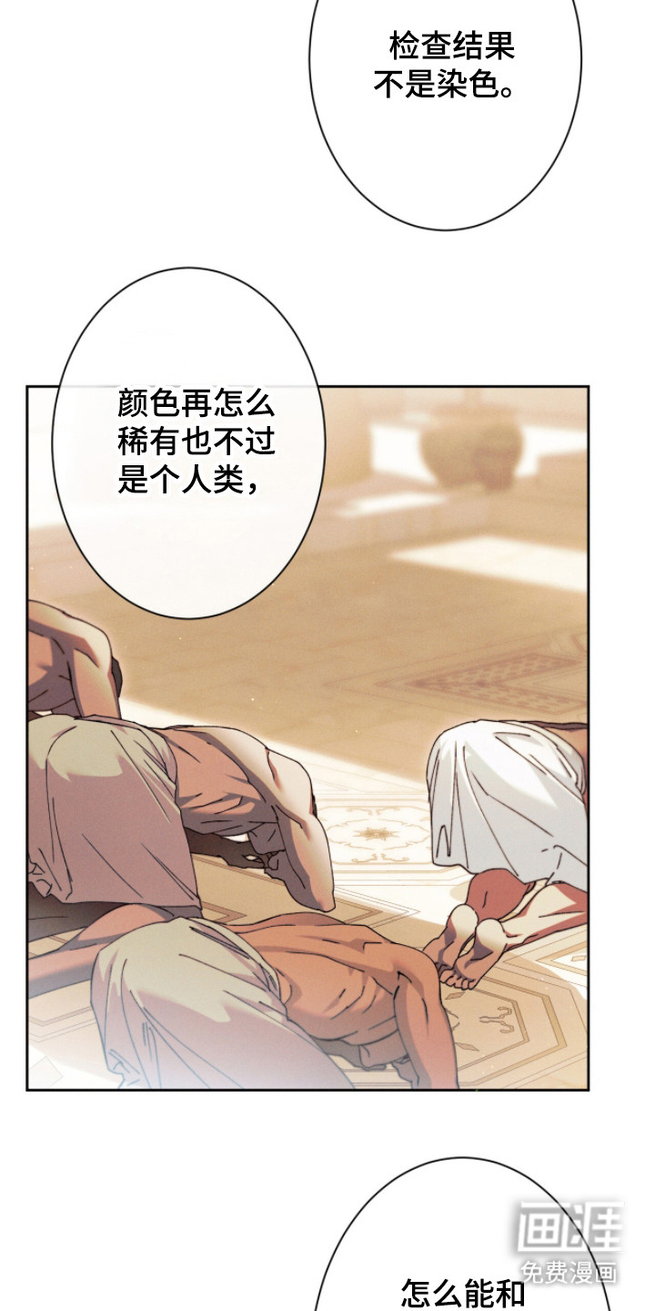 金砂迷瞳漫画-图8