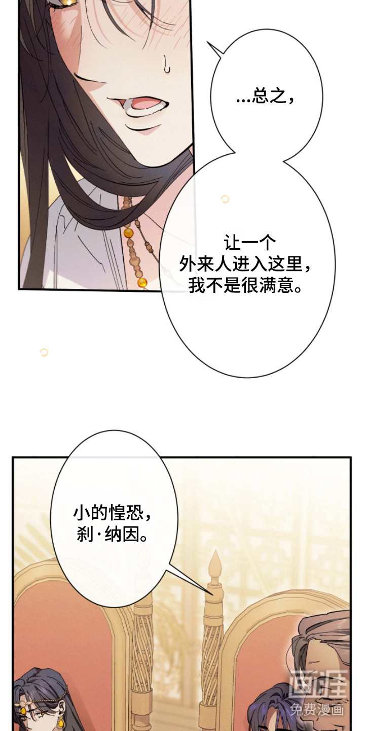 金砂迷瞳漫画-图17