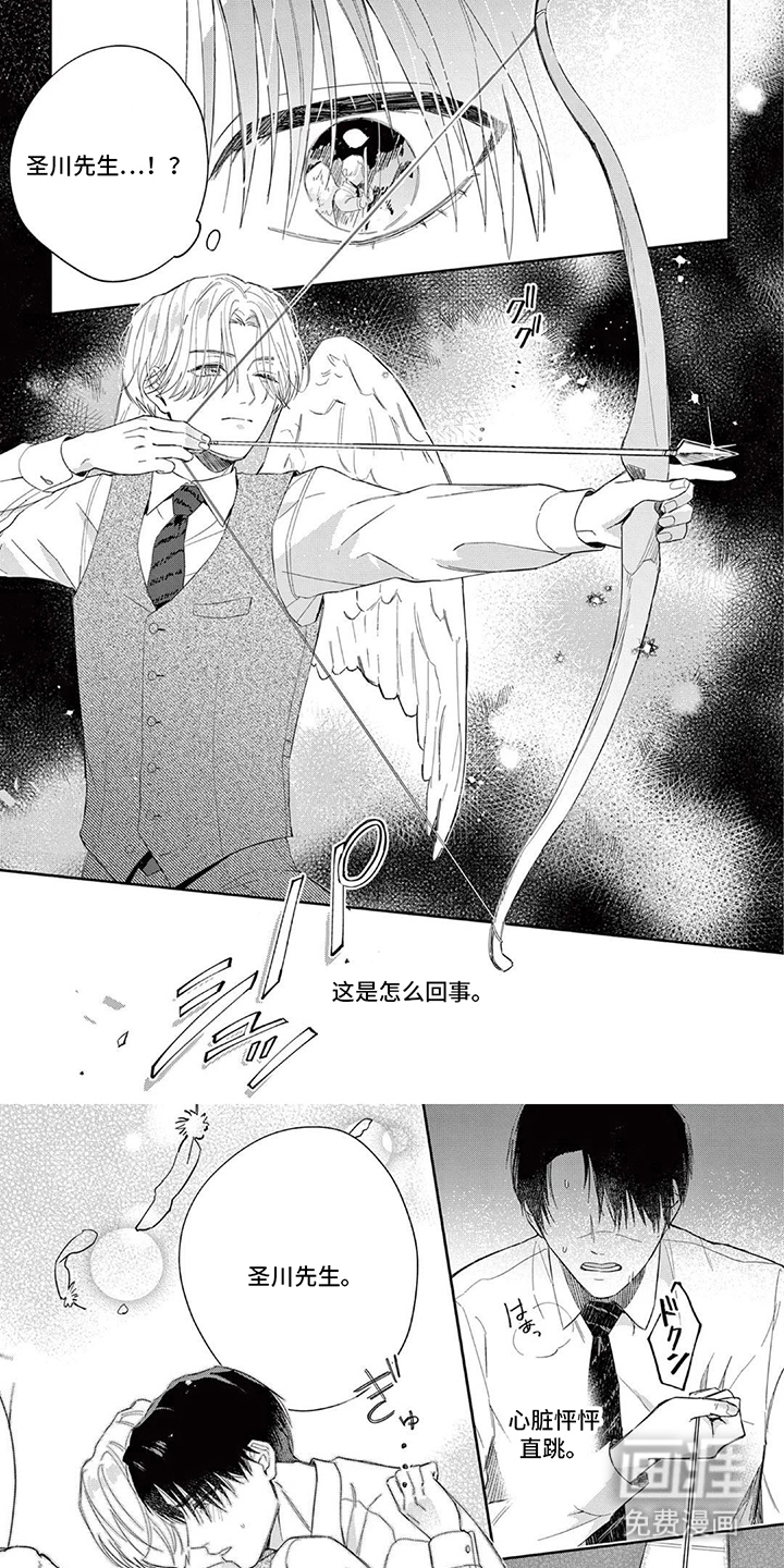 揭示假货之爱第1话图