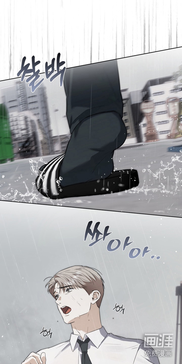 假意真情漫画-图0