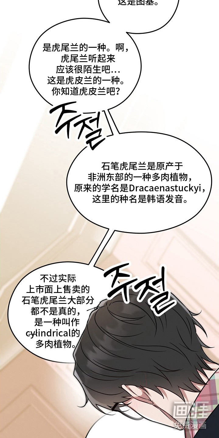 金主面对面漫画-图12