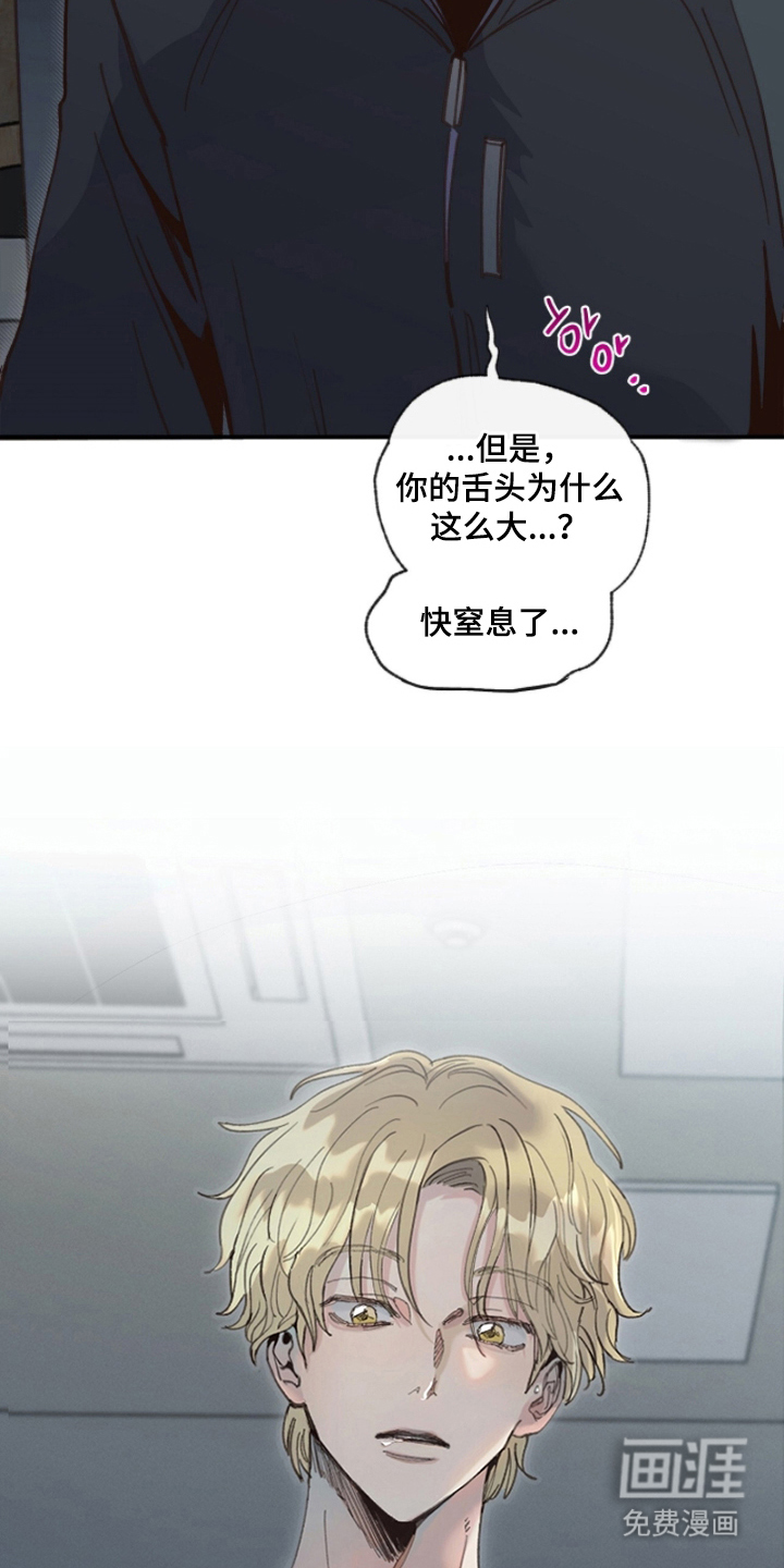 金发陷阱漫画-图12