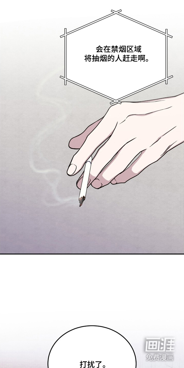 借住的星光图12