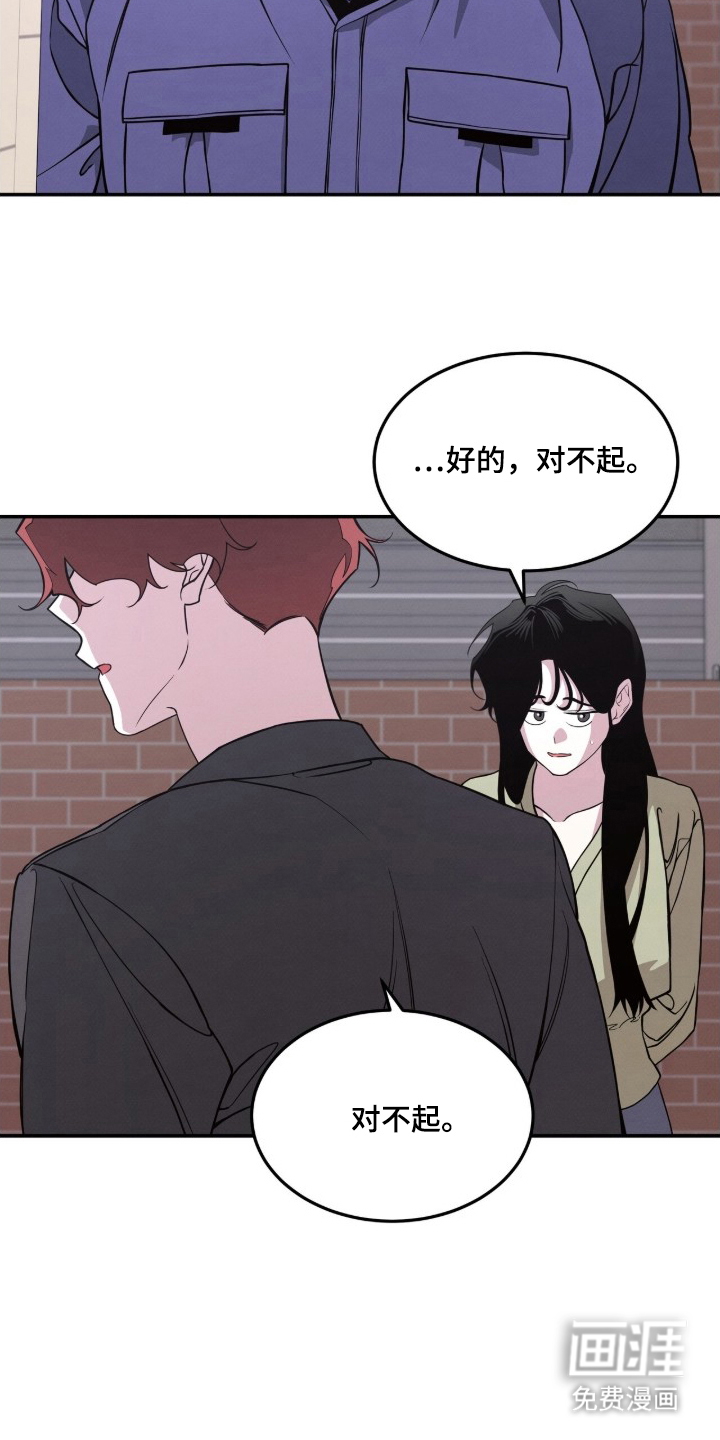 借住的星光图15