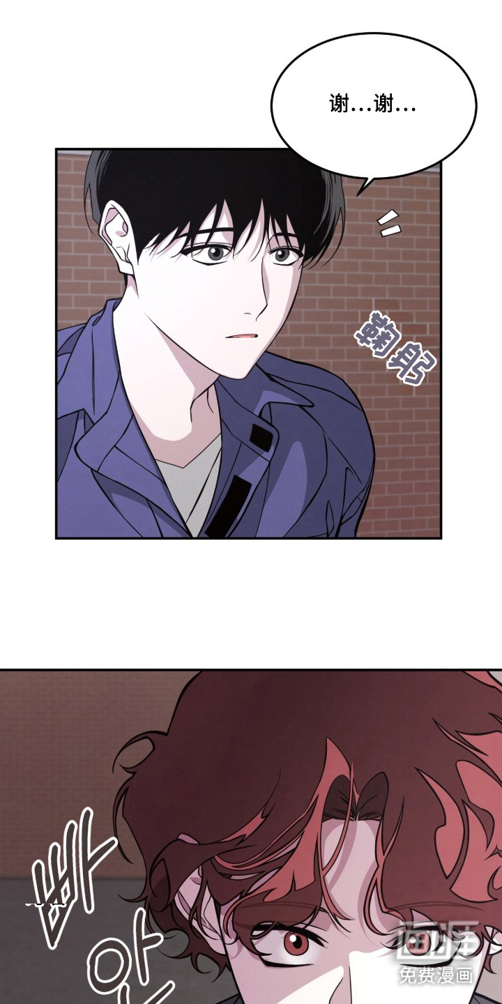 借住的星光图16