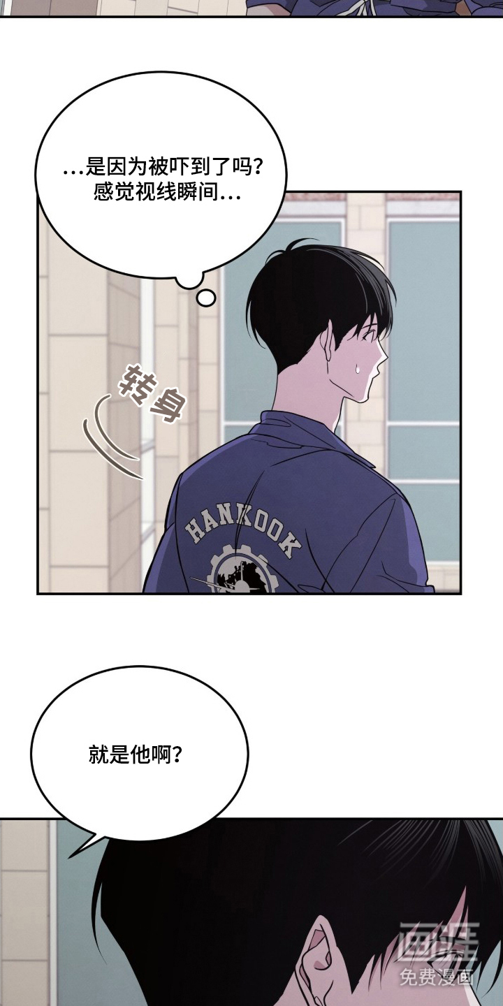 借住的星光图18