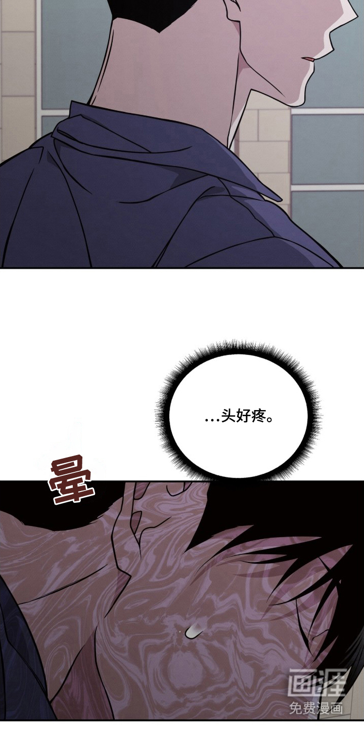 借住的星光图19